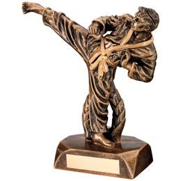 Karate Kick Resin Trophy