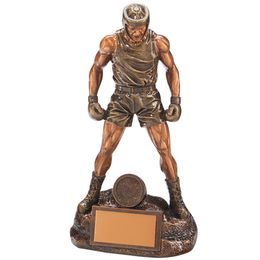 Ultimate Boxing Trophy