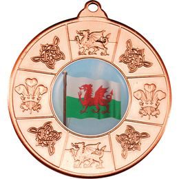Welsh Logo Insert Bronze Medal