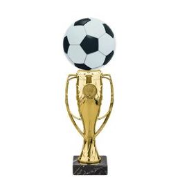 Verona Football Trophy
