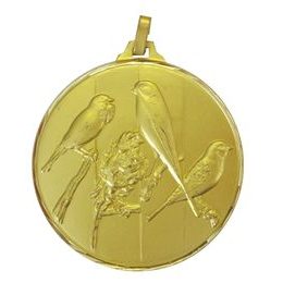 Diamond Edged Bird Fancier Gold Medal