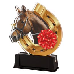 Turin Horse Head Rosette Trophy