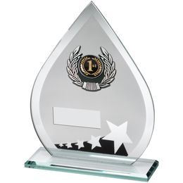 Spectrum Jade Crystal Star Logo Insert Award