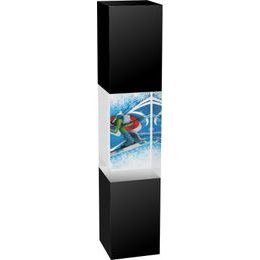 Staklo Black and Clear Solid Glass Cuboid Skier Trophy
