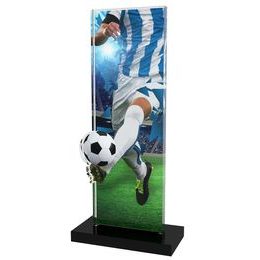 Apla Blue and White Football Kit Trophy