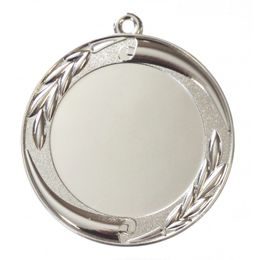 Merit Laurel Logo Insert Silver Medal