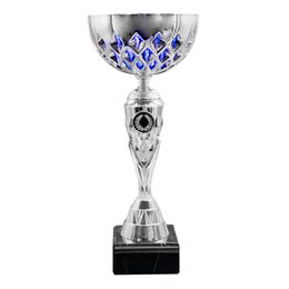 ECL2022/06 Silver and Blue Cup