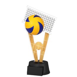 Oxford Volleyball Trophy