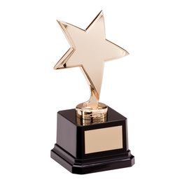 Challenger Gold Star Trophy