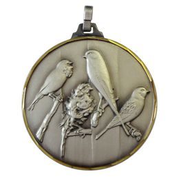 Diamond Edged Bird Fancier Silver Medal