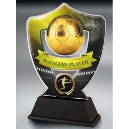 Club Colours Managers Player Shield Trophy