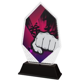 Cleo Martial Arts Fist Trophy