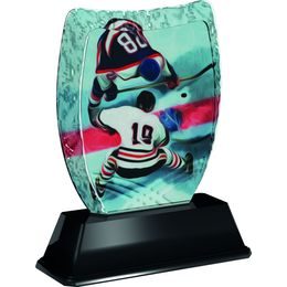 Iceberg Ice Hockey Trophy