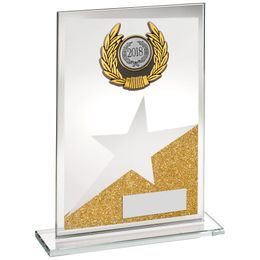 Starlight Jade Crystal Logo Insert Award