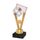 Milan Futsal Indoor Football Trophy