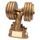 Power Weight Lifting Trophy