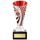Defender Silver and Red Football Cup