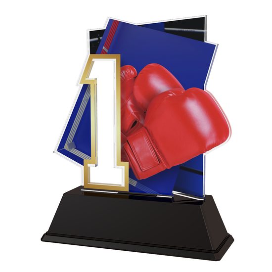Poznan Boxing Number 1 Trophy