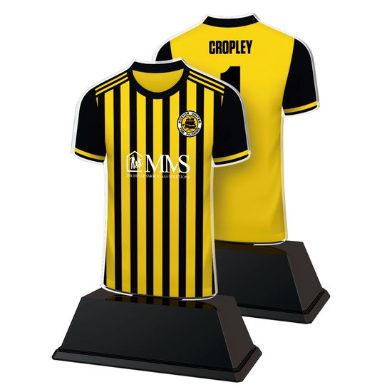 Football Shirt Custom Made Acrylic Award