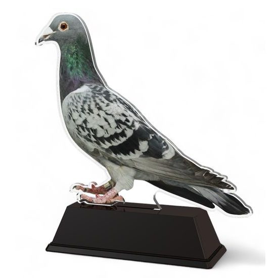 Ostrava Pigeon Trophy
