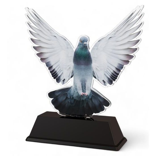 Ostrava Pigeon Racing Trophy