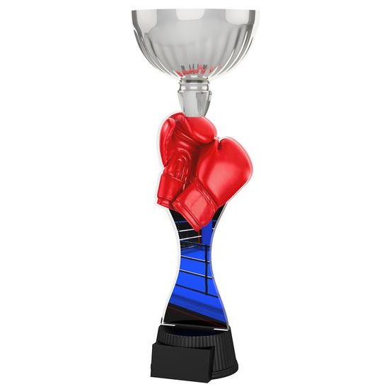 Montreal Boxing Gloves Silver Cup Trophy