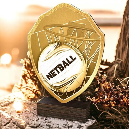 Arden Classic Netball Real Wood Shield Trophy