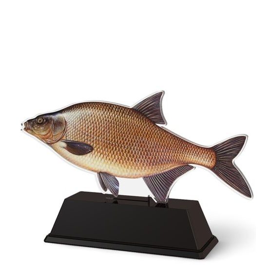 Ostrava Carp Fish Trophy