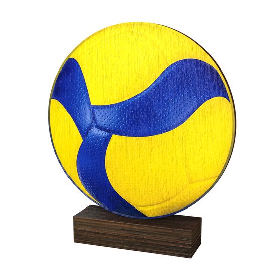 Sierra Volleyball Ball Real Wood Trophy