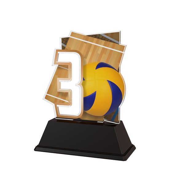 Poznan Volleyball Number 3 Trophy