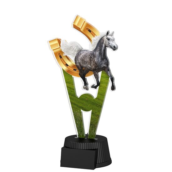 Oxford Equestrian Trophy