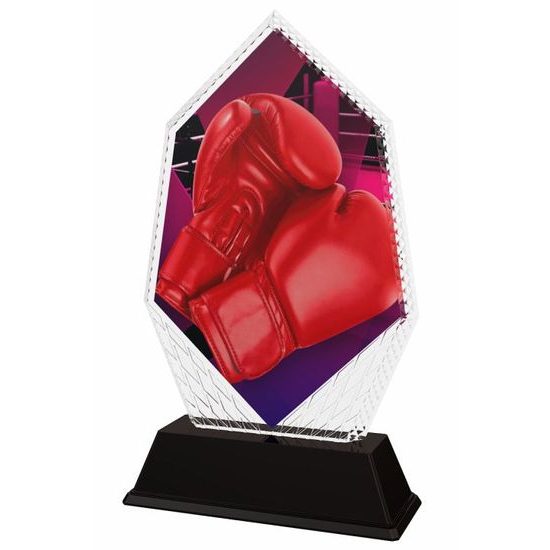 Cleo Boxing Gloves Trophy