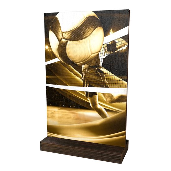 Sherwood Classic Volleyball Eco Friendly Wooden Trophy
