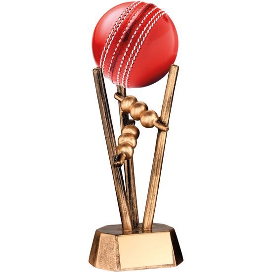 Cricket Ball Holder Trophy (Ball not included)
