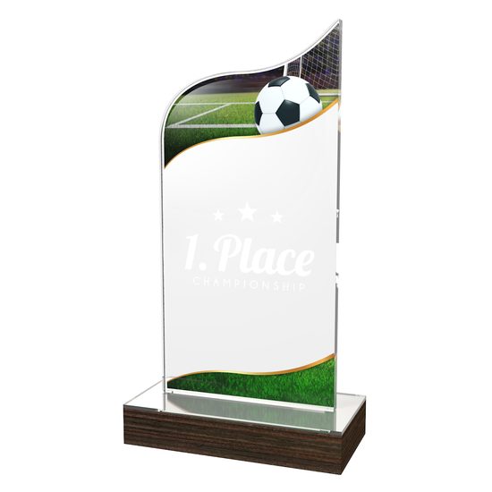 United Acrylic Wood Classic Football Trophy