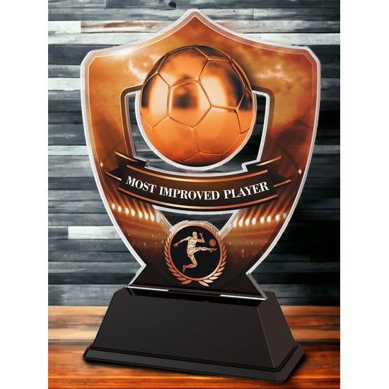 Club Colours Most Improved Player Shield Trophy
