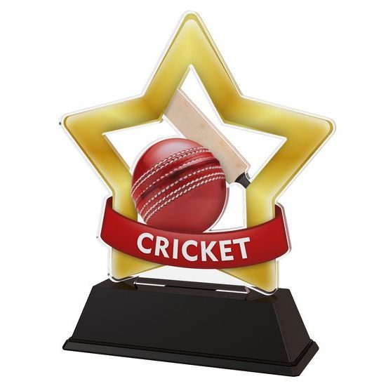 Mini Star Cricket Trophy
