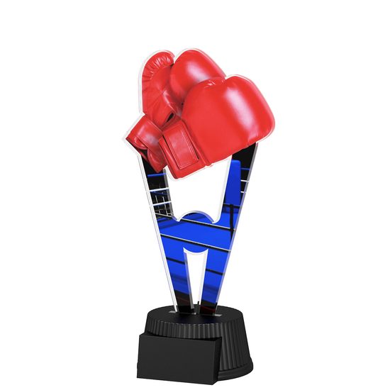 Oxford Boxing Trophy