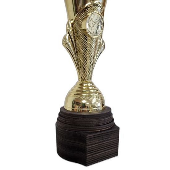 Fenwick Gold Cup