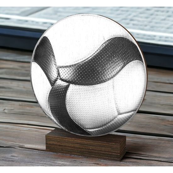 Sierra Classic Volleyball Ball Real Wood Trophy