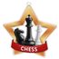 Chess Mini Star Bronze Medal