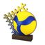Sierra Volleyball Real Wood Trophy