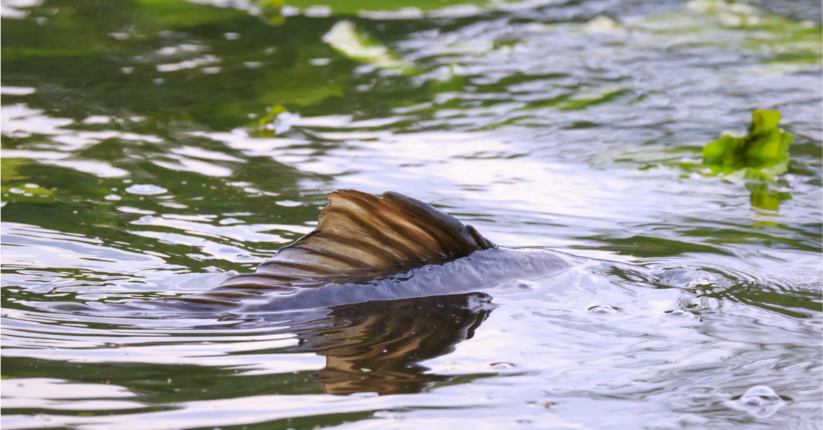 stačilo jen vydržet a začaly se dít věci...