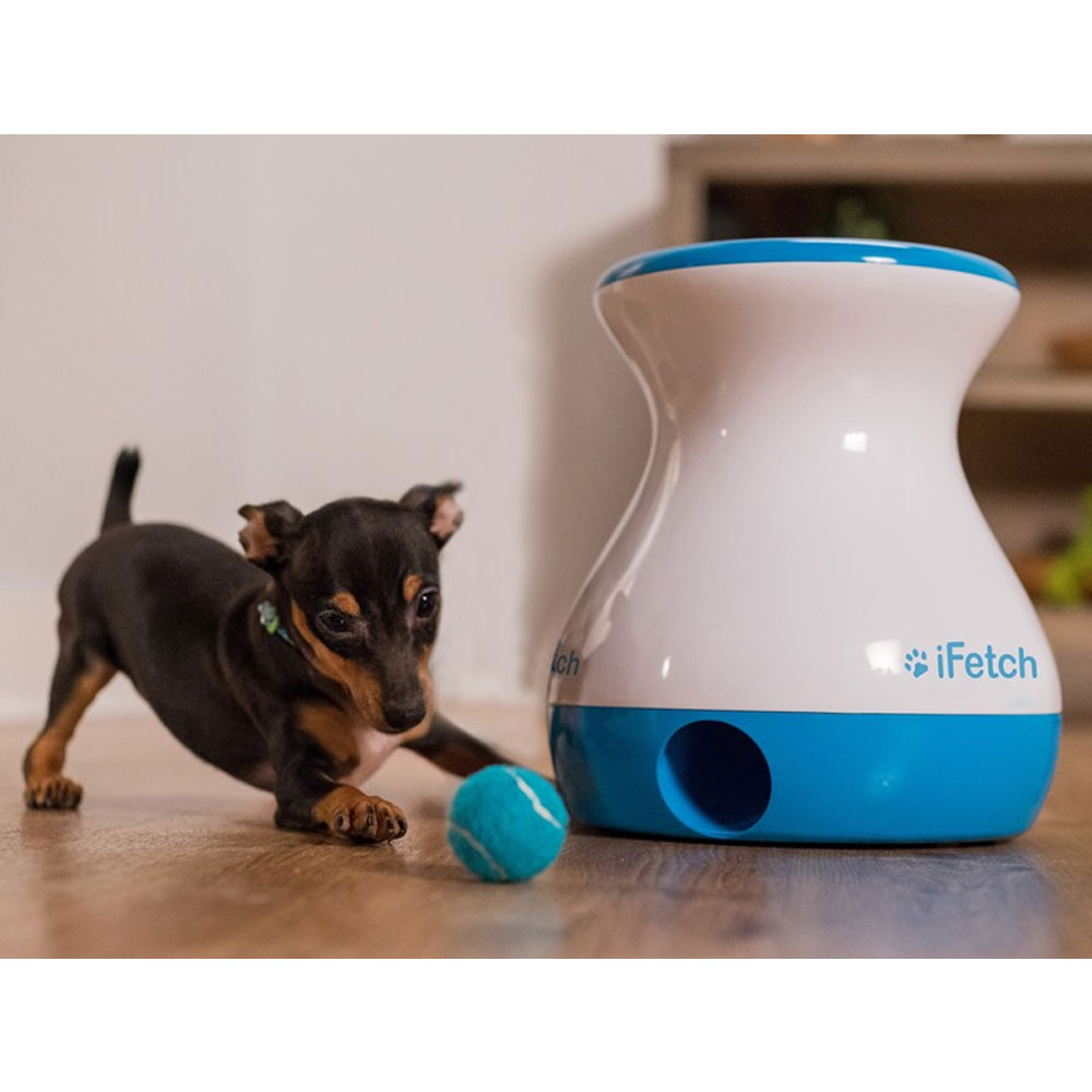 iFetch Frenzy - Mini