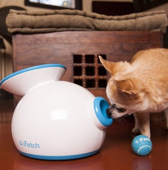 iFetch Lanzador Automático de Pelotas para Perros (iFetch México) 