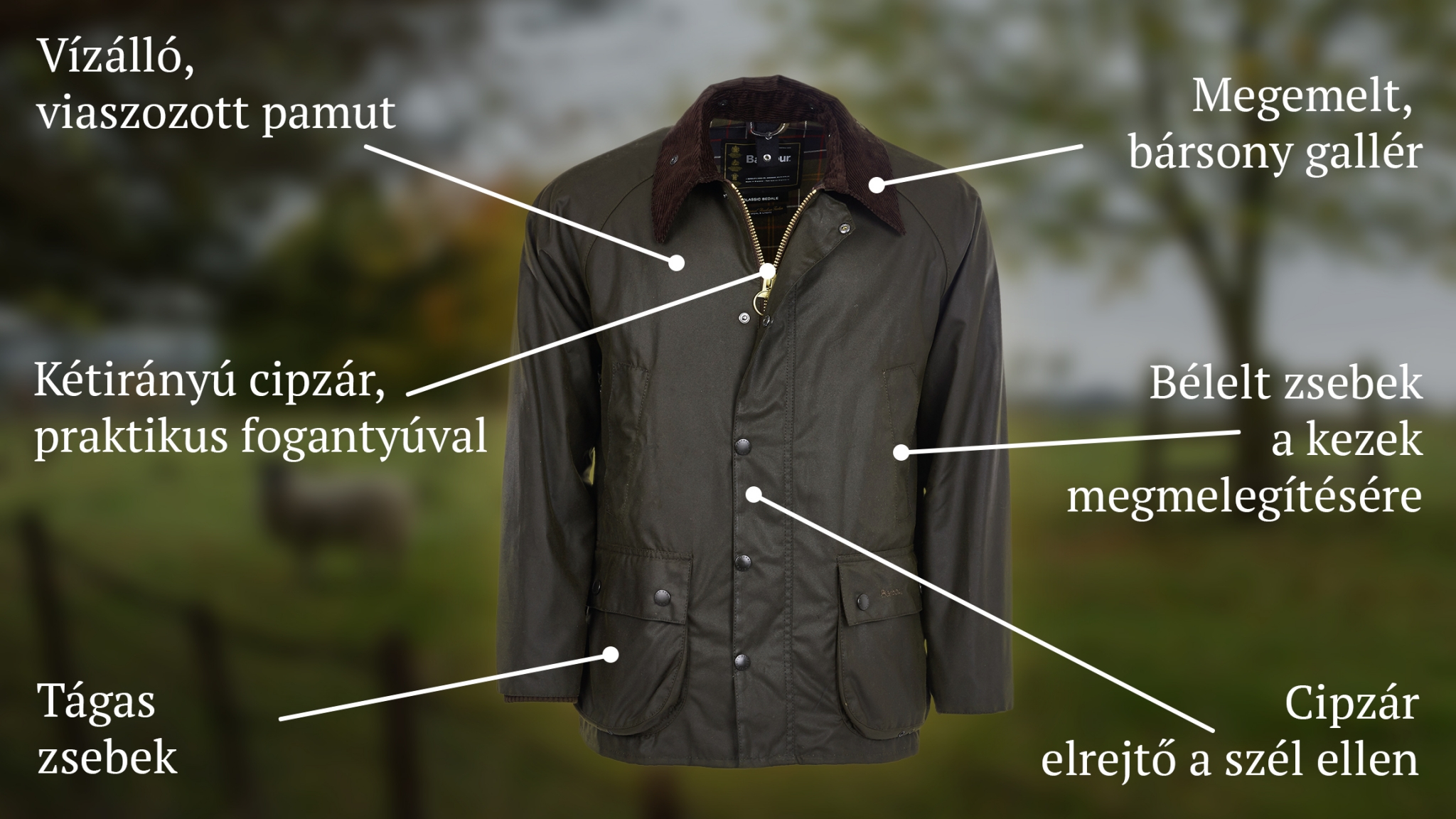 Gentleman Store - Barbour Classic Bedale kabát viaszos bevonattal - oliva -  Barbour - Kabátok - Ruházat