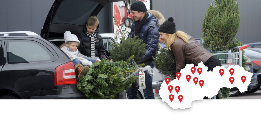 ponuka vianočných stromčekov hecht