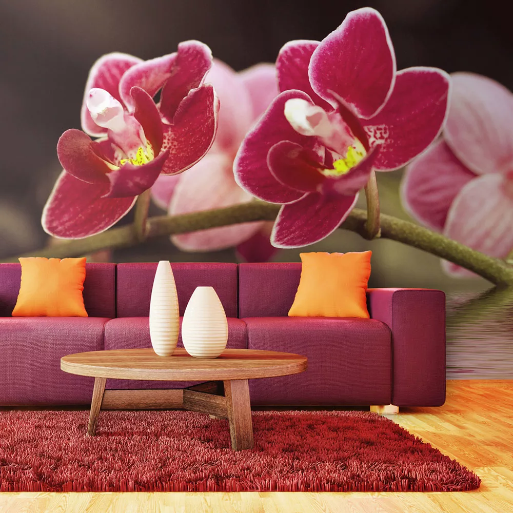 Tapeta krásna orchidea vo vode