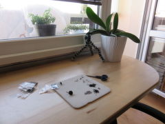 Pavla JIRRA Jirásková - pracovní koutek