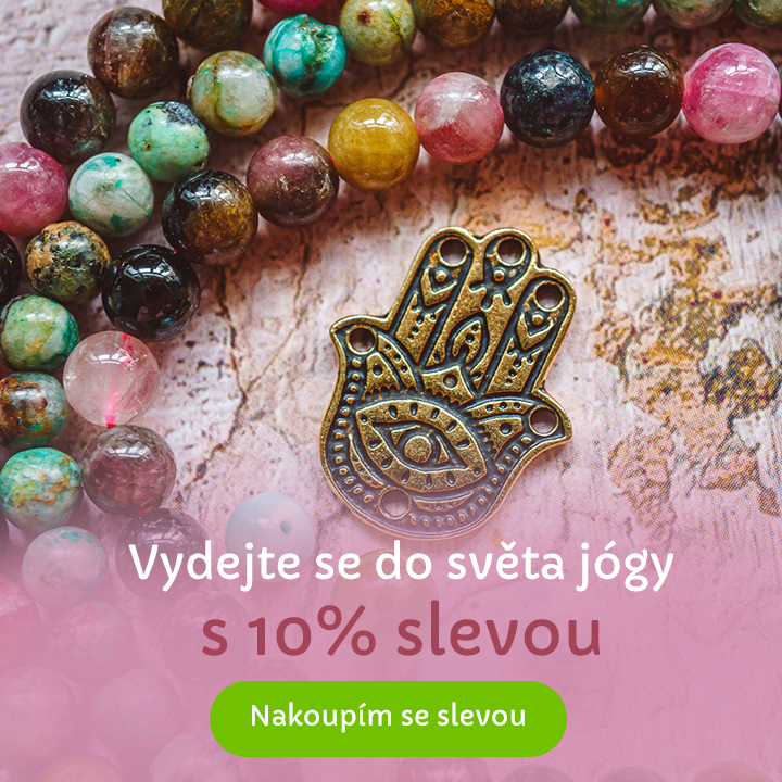 CZ_tyden_jogy_clanek